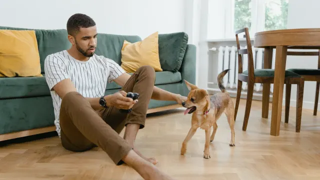 A dog eating from a bowl in a home kitchen while an owner watches nearby
