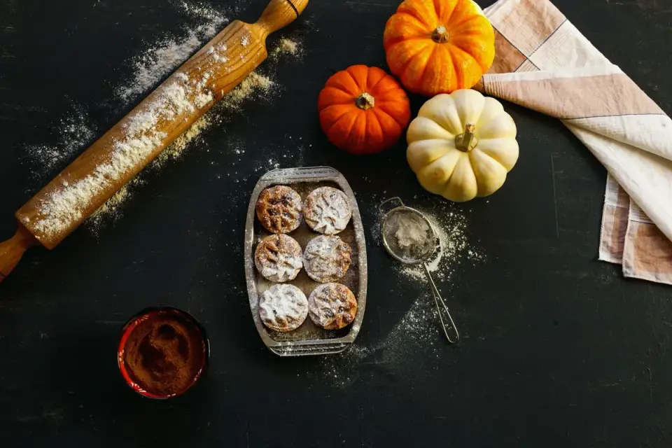 A dog&#x27;s food bowl next to pumpkin pieces and soft chews