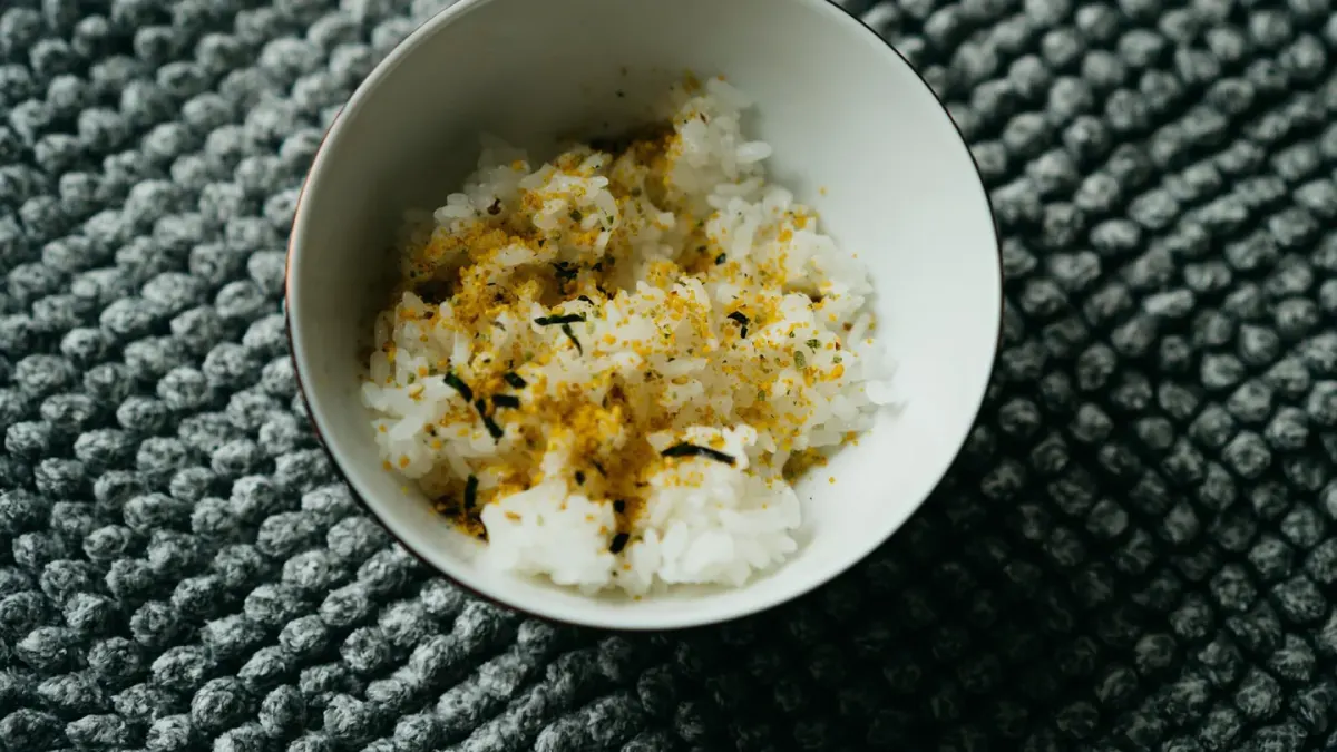 A stainless steel dog bowl filled with shredded chicken and plain white rice