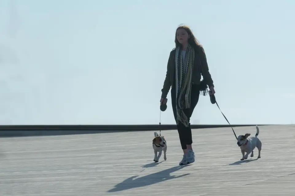 Dog walking with an owner