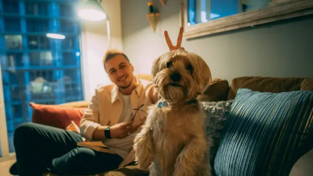 Dog with an owner at home