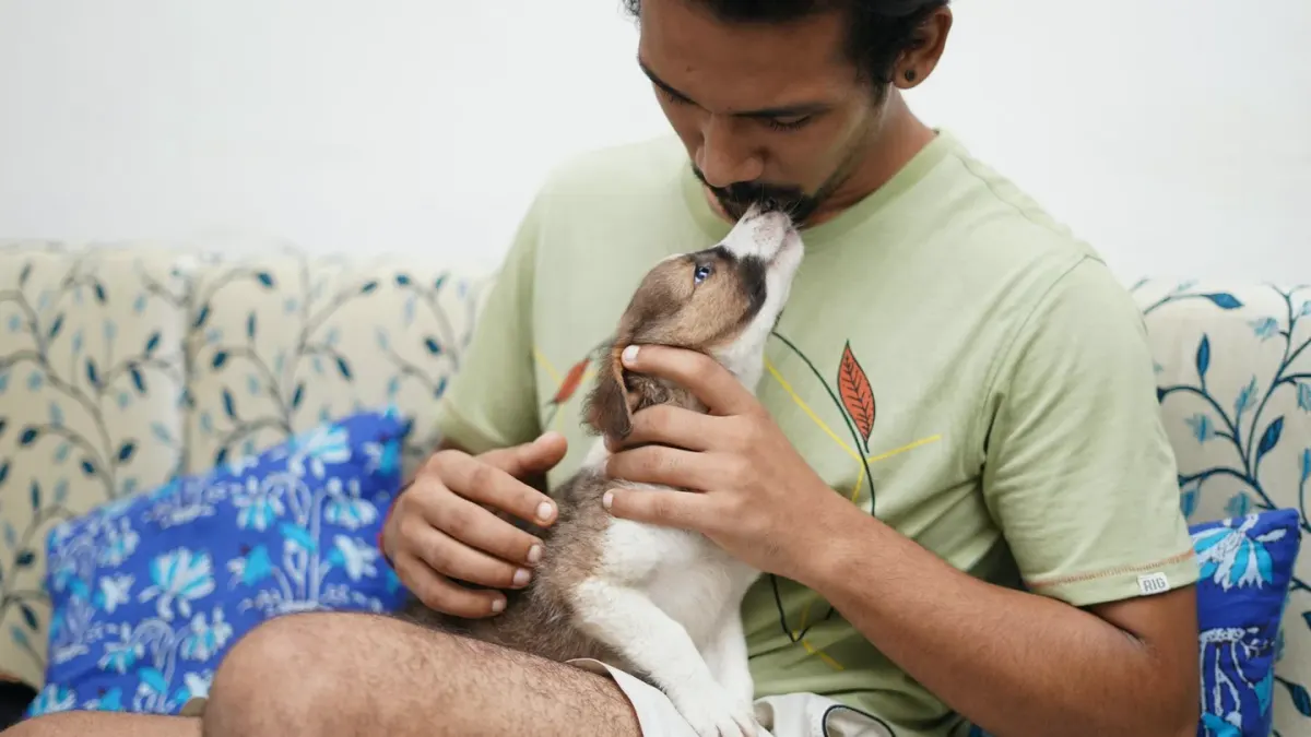 Dog with an owner at home