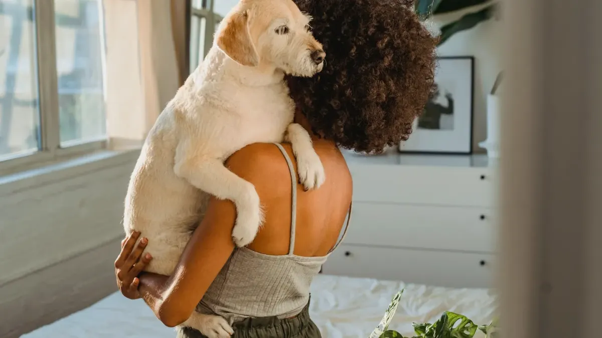Dog with an owner at home
