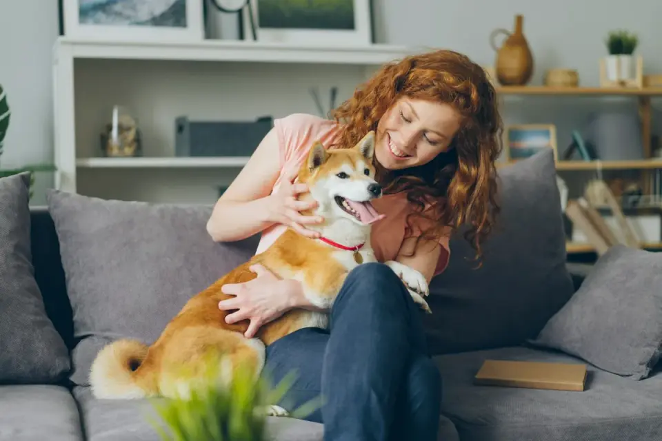 Dog with an owner at home