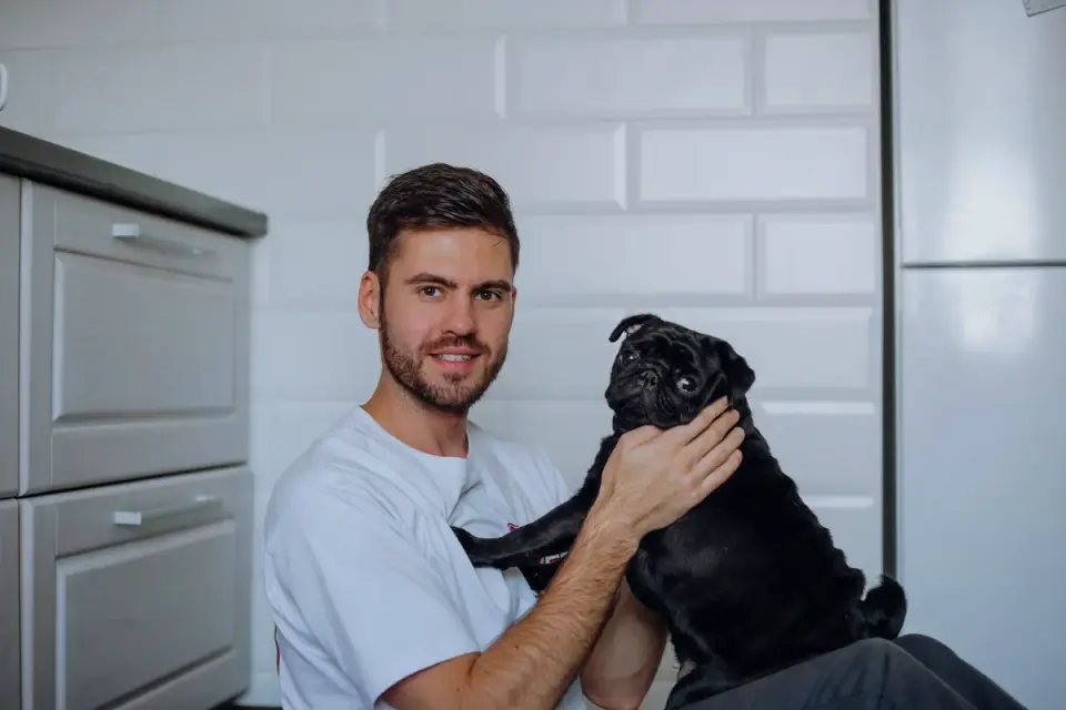 Veterinarian gently examining a dog's abdomen during a checkup